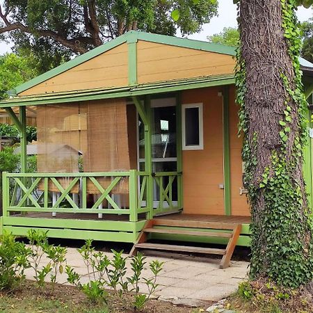Casa Di Marina - Chalet Bungalow Hotell Sorbo-Ocagnano Eksteriør bilde